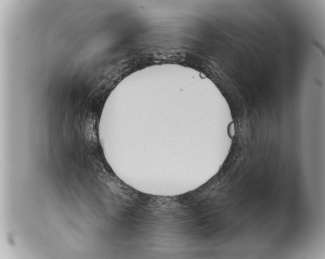 X0000098140770200805151139