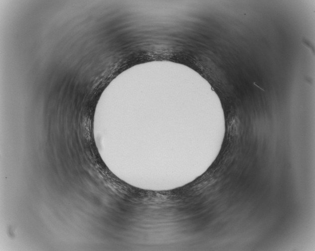 X0000098140772200805151139