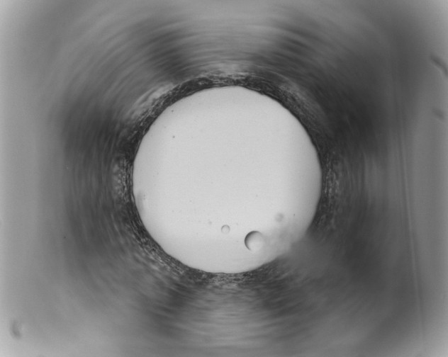 X0000098140773200805151139