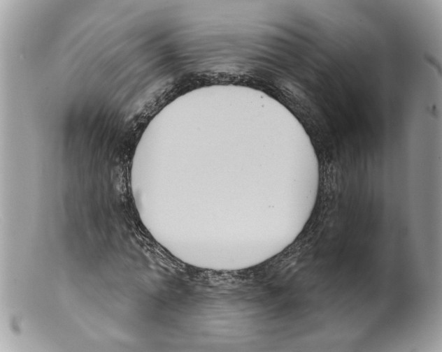 X0000098140774200805151139