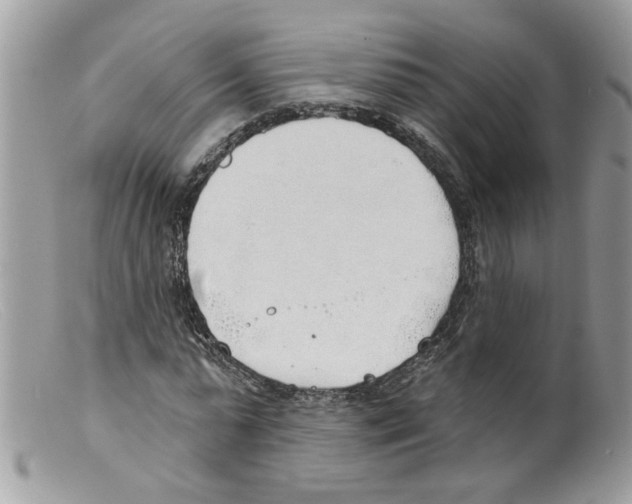 X0000098140775200805151139