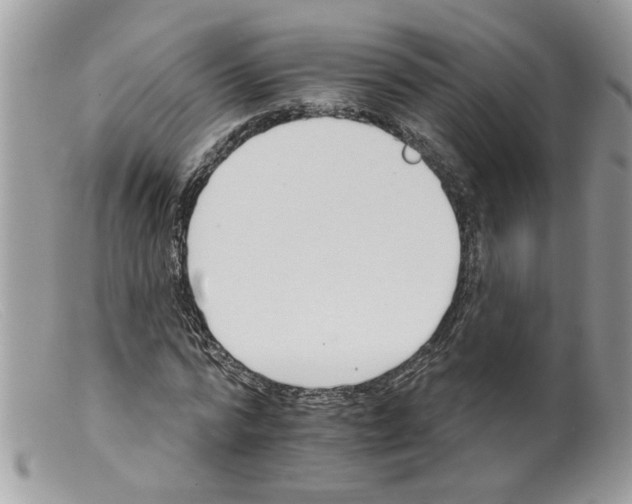 X0000098140776200805151139