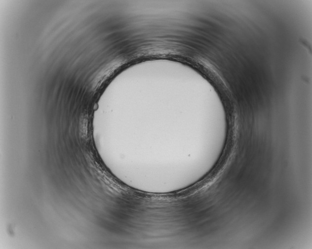 X0000098140777200805151139