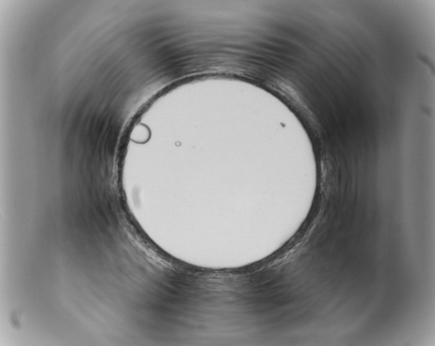 X0000098140780200805151139