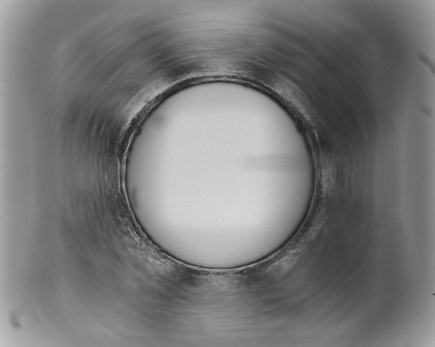 X0000098140781200805151139