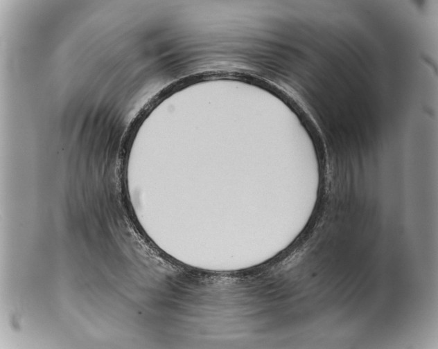 X0000098140783200805151139