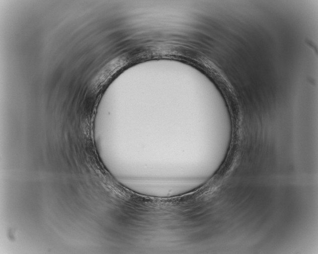 X0000098140785200805151139