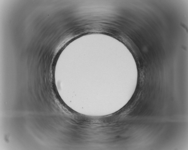 X0000098140787200805151139