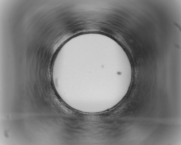 X0000098140789200805151139