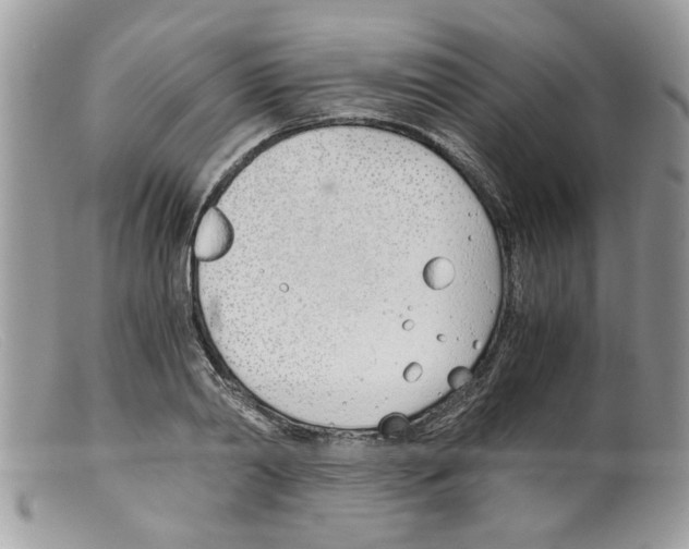 X0000098140790200805151139