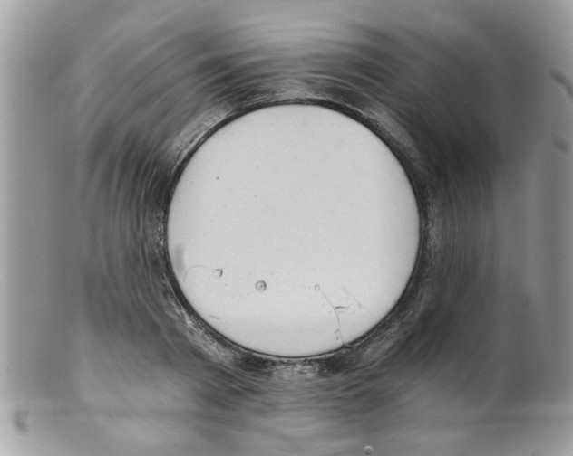 X0000098140793200805151139