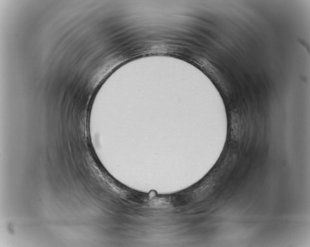 X0000098140794200805151139