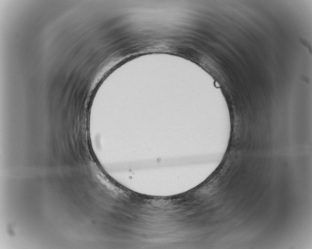 X0000098140800200805151139