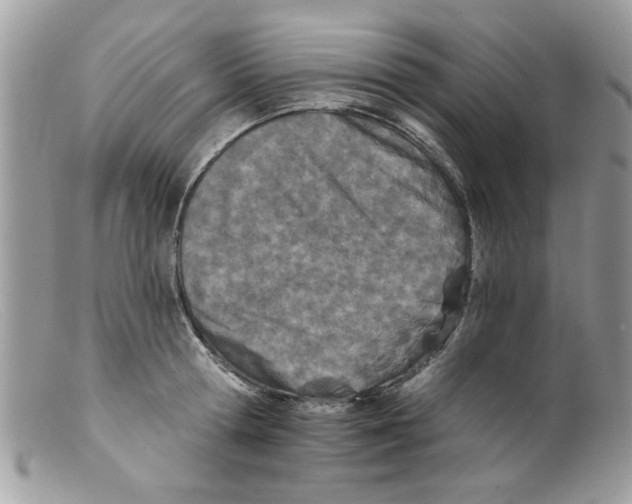 X0000098140802200805151139