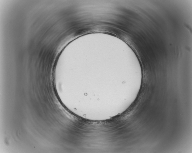 X0000098140803200805151139