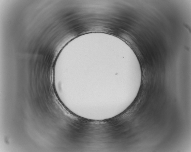 X0000098140804200805151139