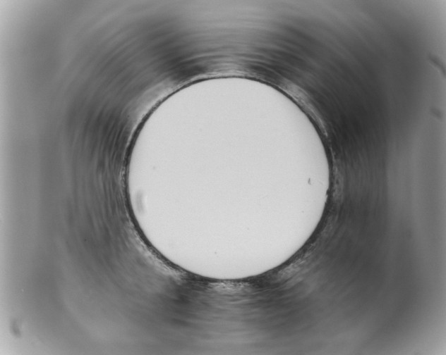 X0000098140805200805151139