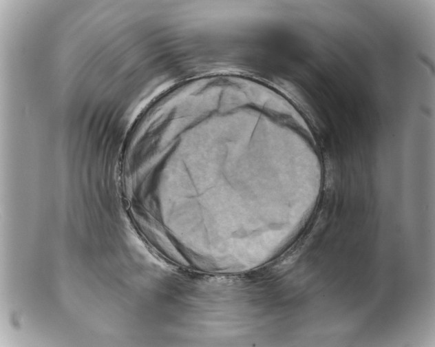 X0000098140806200805151139