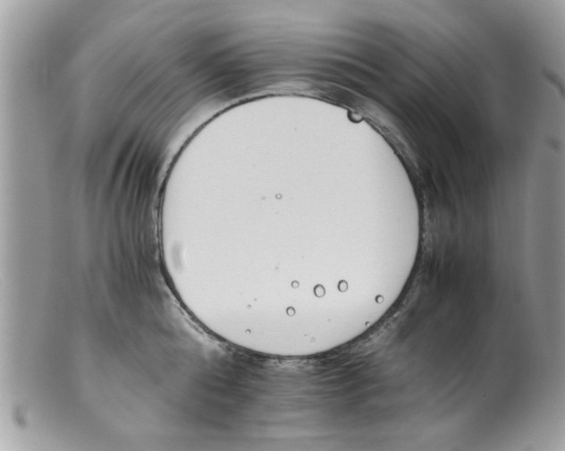 X0000098140808200805151139