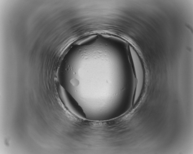 X0000098140809200805151139