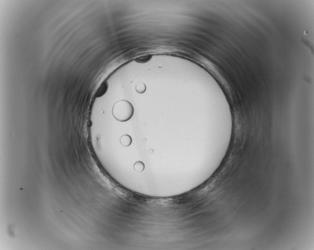 X0000098140810200805151139