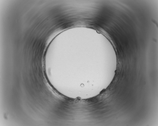 X0000098140811200805151139