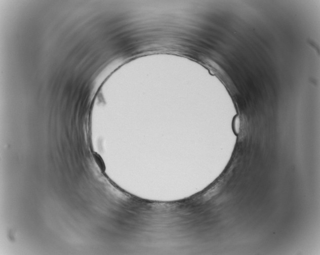 X0000098140812200805151139