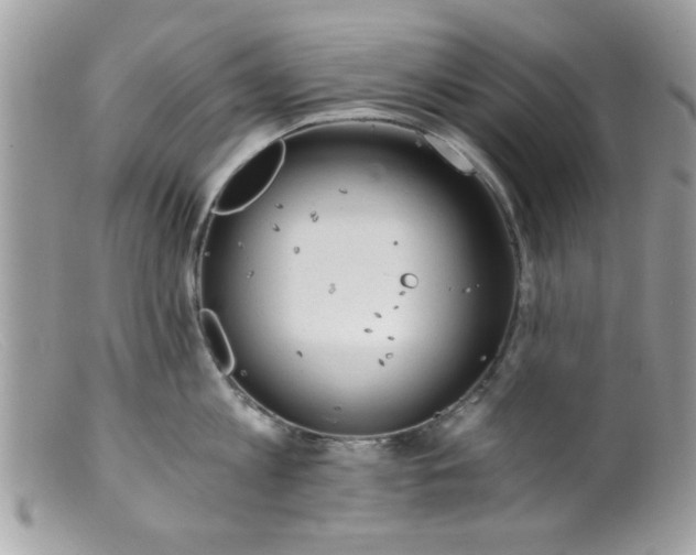 X0000098140813200805151139