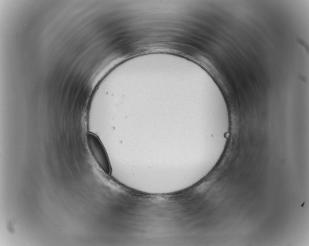 X0000098140814200805151139