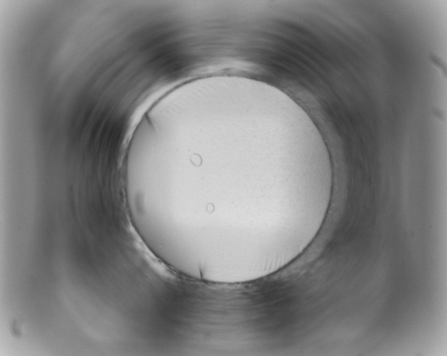 X0000098140816200805151138