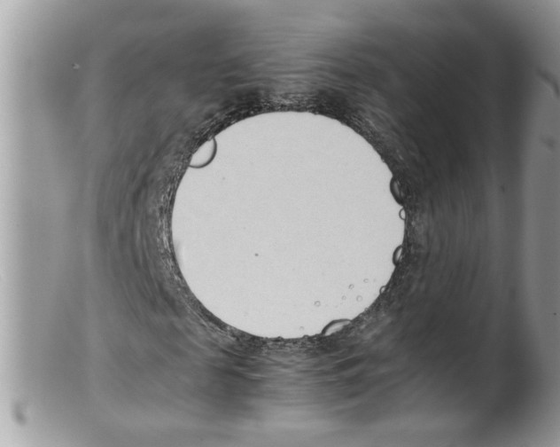 X0000098140817200805151138