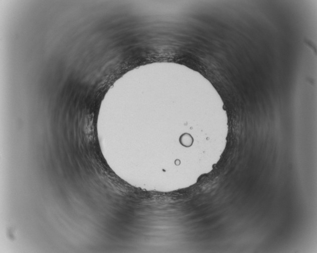 X0000098140818200805151138