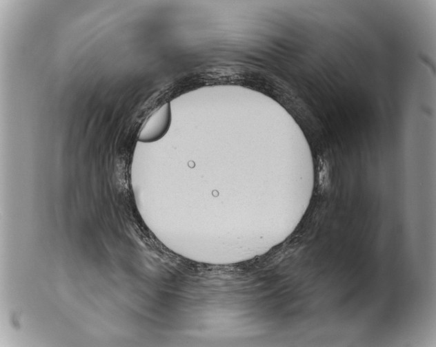 X0000098140819200805151138