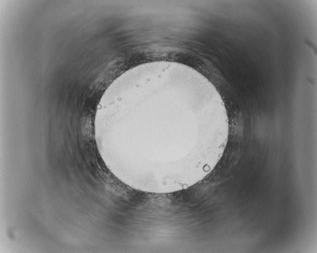 X0000098140820200805151138