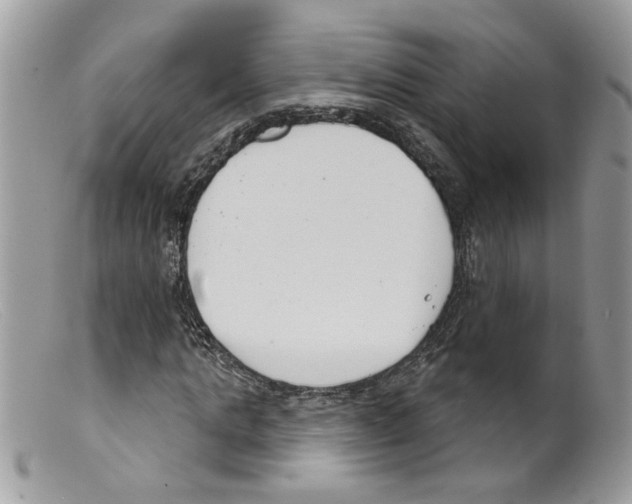 X0000098140821200805151138