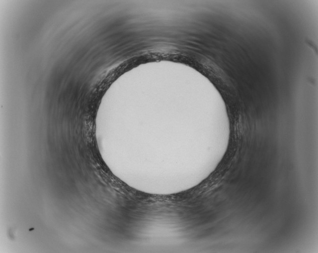 X0000098140822200805151138