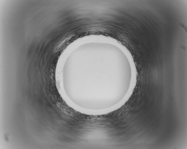 X0000098140824200805151138