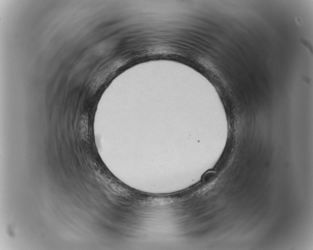 X0000098140825200805151138