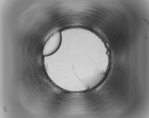 X0000098140826200805151138