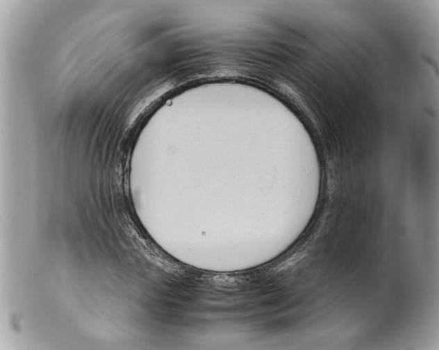 X0000098140827200805151138