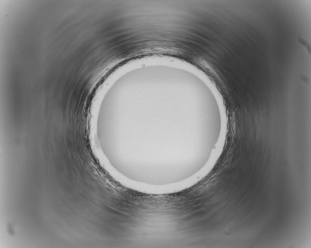 X0000098140828200805151138