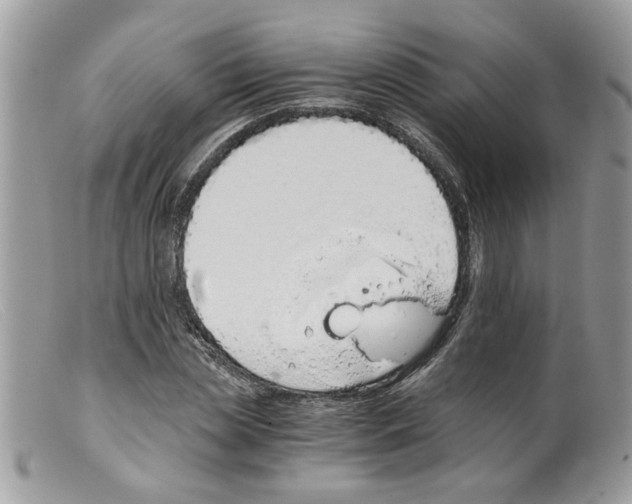 X0000098140829200805151138