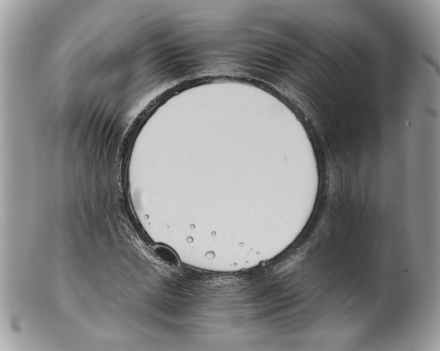 X0000098140830200805151138