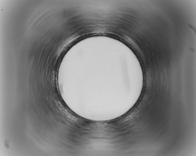 X0000098140831200805151138