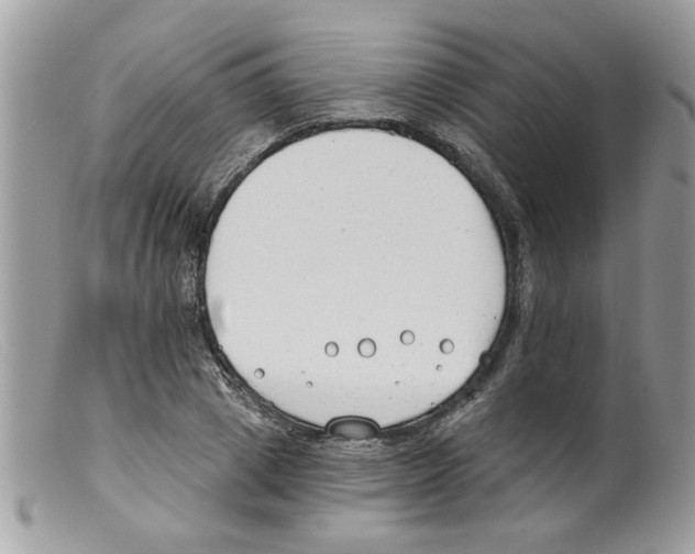 X0000098140833200805151138