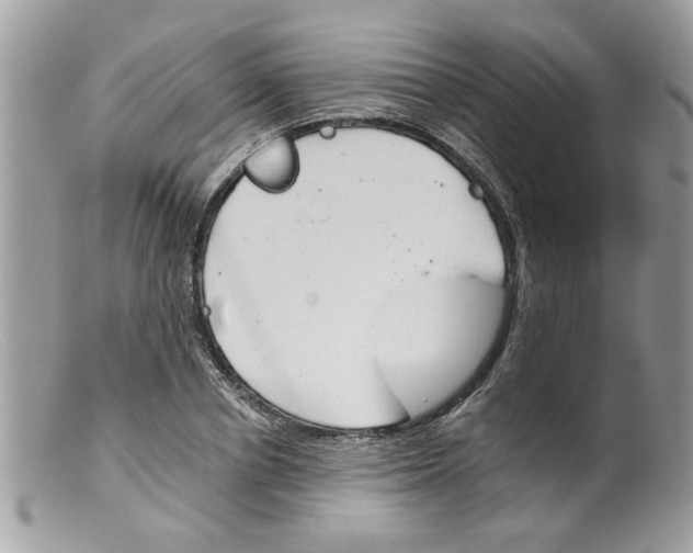 X0000098140834200805151138