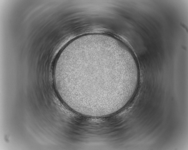 X0000098140835200805151138