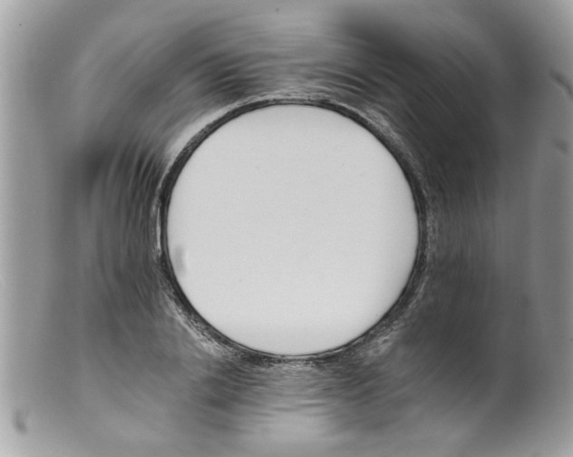 X0000098140838200805151138