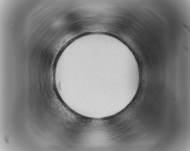 X0000098140840200805151138