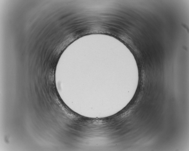 X0000098140841200805151138